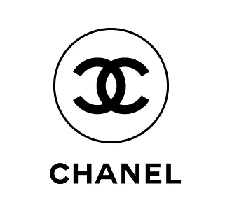 CHANEL METALLIC SILVER QUILTED LAMBSKIN PRINTED DATA CENTER O CLUTCH