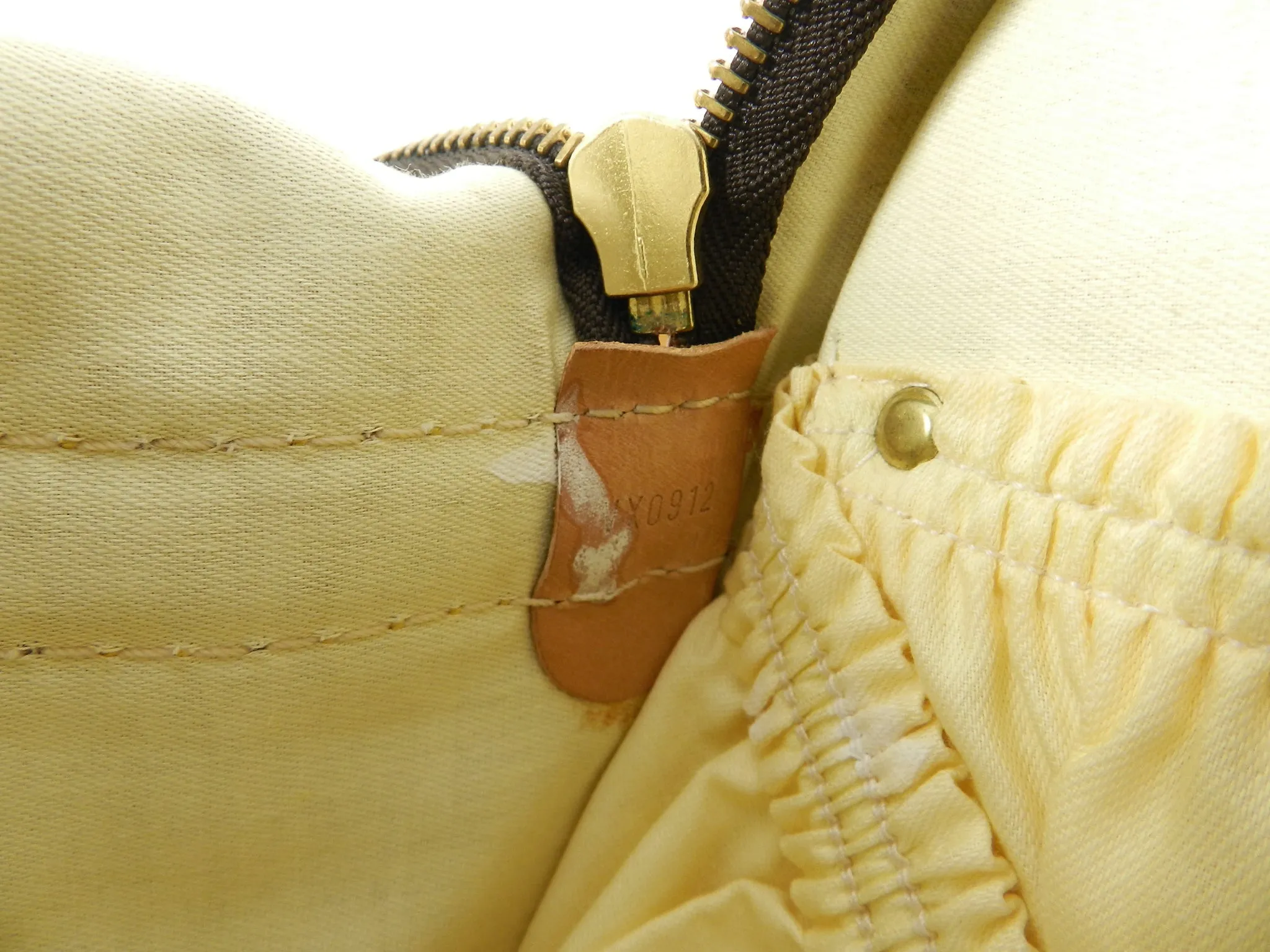 Louis Vuitton Monogram Canvas Sac Chien Train Case Bag