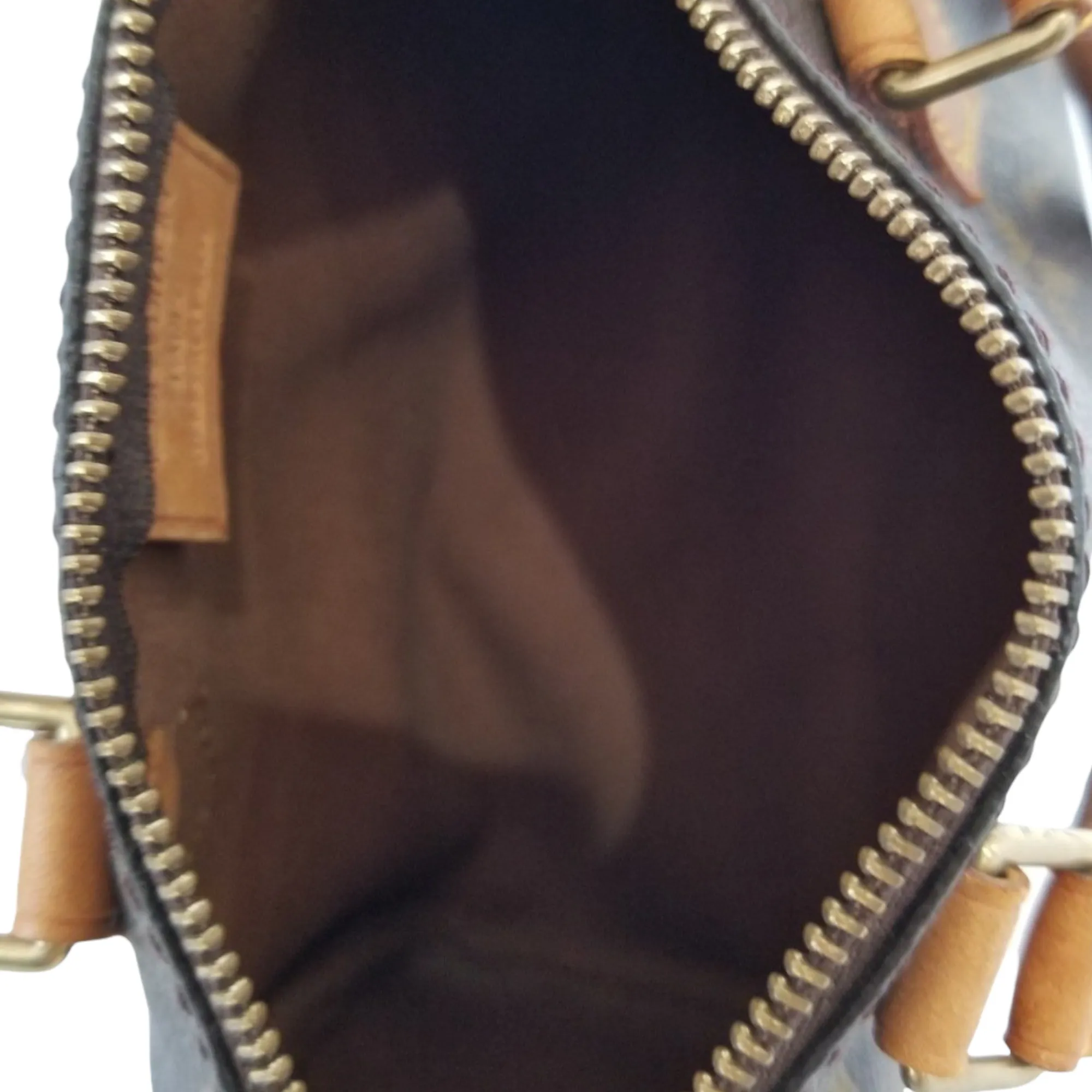 Mini Speedy Monogram Handbag